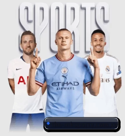 the-mksportv.com.cn的方向